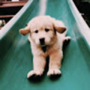 Meet your Posher, Mac